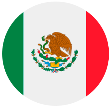 mx flag