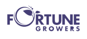 fortune_mor