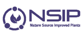 nsip_mor