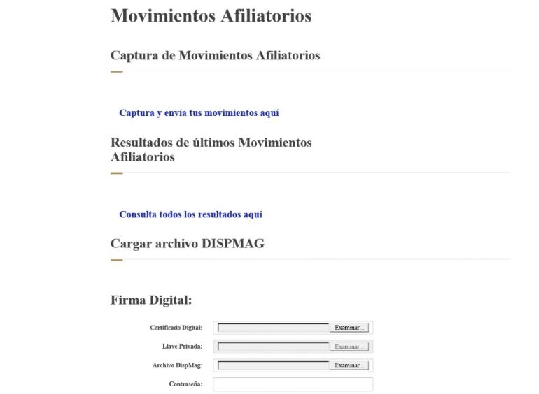 alta empresa IMSS