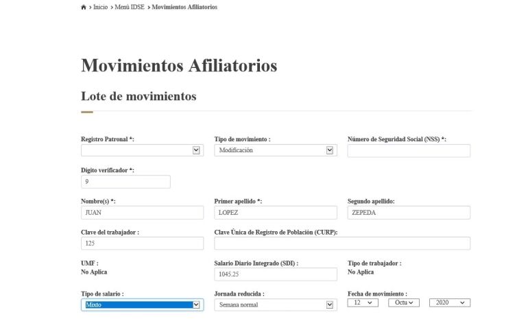 alta empresa IMSS
