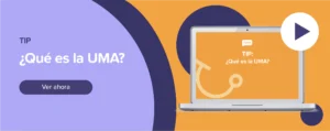 Ver ahora Tip: ¿Qué es la UMA?